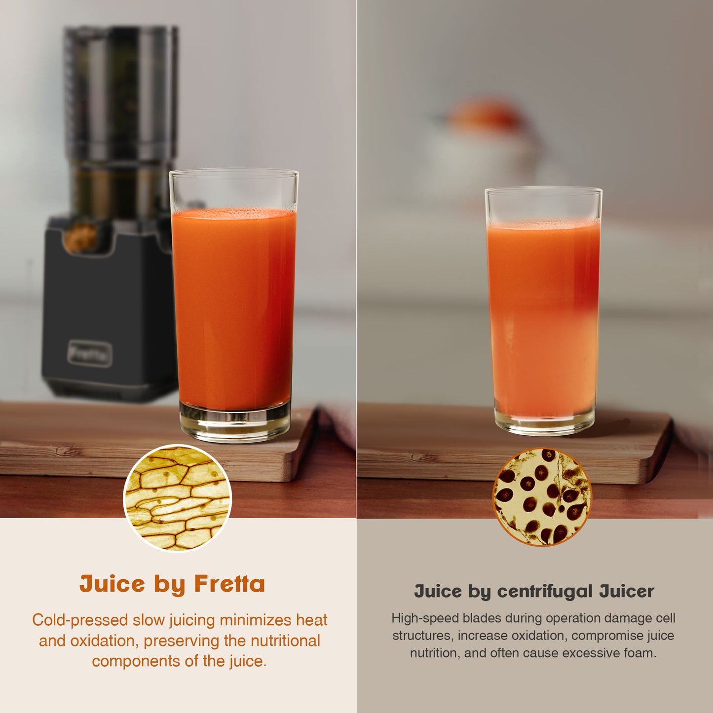 Fretta Cold Press Juicer Machines,Black