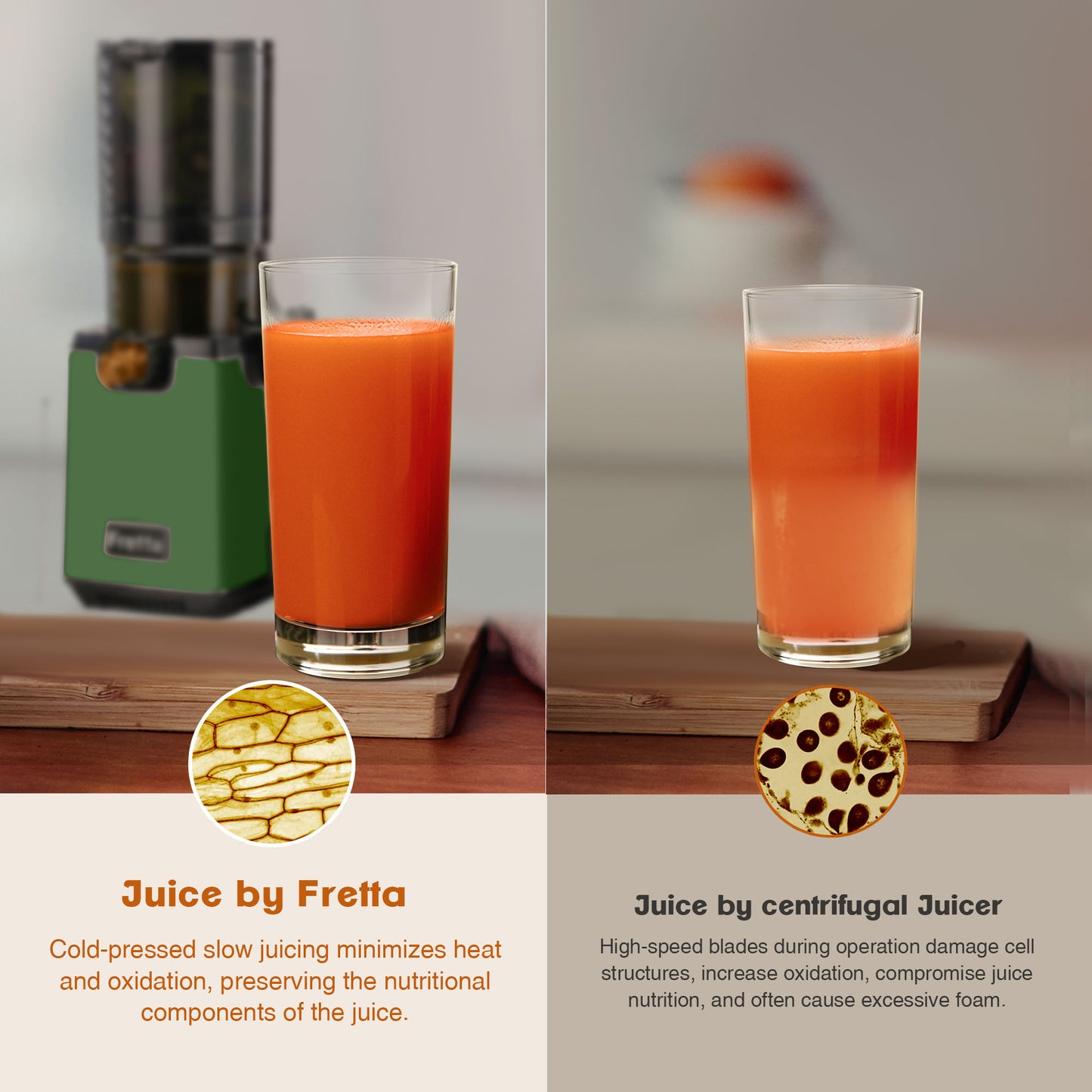 Fretta Cold Press Juicer Machines, Dark Green